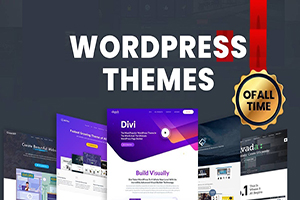 Wordpress Themes